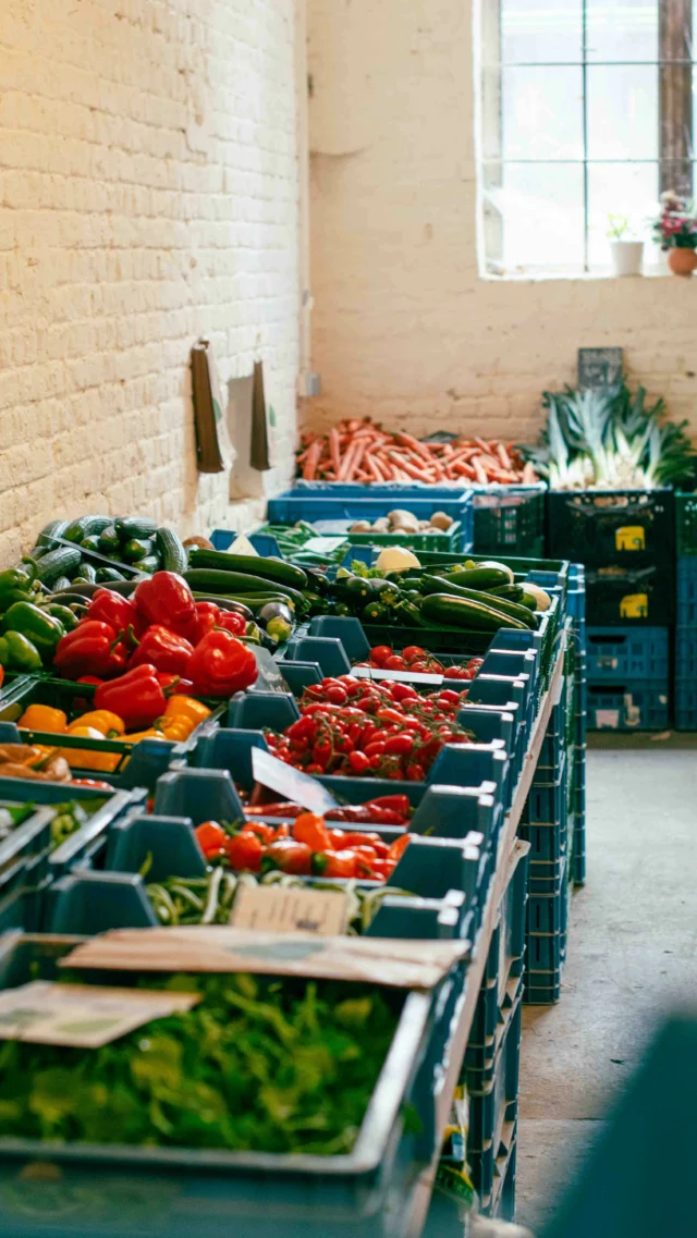 ATELIERS CULINAIRES AU MARCHÉ DES ÉCURIES VAN DE TRAM À SCHAERBEEK 

Envie de découvrir de nouvelles idées de recettes végétariennes, simples et originales pour vos repas, que vous soyez seul.e.s, à deux, en famille ou entre amis? Je vous invite à mes ateliers culinaires deux fois par mois dans la toute nouvelle cuisine du marché. Une chouette occasion de se rencontrer pour cuisiner ensemble avec les produits bio et de saison du marché.

Rendez-vous les 19 et 26 octobre ou les 9 et 16 novembre en groupe de 8 pendant les heures d’ouverture du marché. 

Pour connaitre tous les détails pratiques, le programme des cours et réserver votre place, ça se passe sur mon blog www.lacuisinecestsimple.com, onglet « ateliers ». Je vous ai également mis un lien direct vers la page de réservation sur mon profil. 

Je me réjouis déjà. À très vite!

Myriam

P.S. N’hésitez pas à poser vos questions en commentaire, j’y répondrai avec plaisir 

#lacuisinecestsimple #ateliersculinaires #recettesfaciles #recettessimples #marchébio #schaerbeek